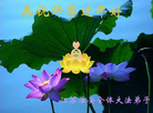 Published on 2/8/2008 大陆大法弟子向师尊拜年（二十三）