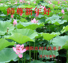 Published on 2/8/2008 大陆大法弟子向师尊拜年（二十三）