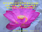 Published on 5/12/2008 大陆大法弟子祝贺世界法轮大法日暨师尊寿辰（二）