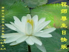 Published on 5/12/2008 大陆大法弟子祝贺世界法轮大法日暨师尊寿辰（三）