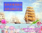 Published on 5/12/2008 大陆大法弟子祝贺世界法轮大法日暨师尊寿辰（四）