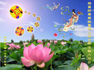 Published on 5/13/2008 大陆大法弟子祝贺世界法轮大法日暨师尊寿辰（十二）