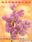 Published on 5/14/2008 ½󷨵ף編ִʦٳʮ