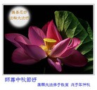 Published on 9/14/2008 ֹ,½󷨵ӹףʦڿ֣壩