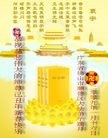 Published on 1/25/2009 ֹ,㶫ڡ麣󷨵Ӿףʦ