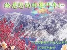 ֹ,½ӡŴ󷨵ʦ