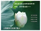 Published on 1/25/2009 ֹ,Ϻ󷨵Ӿףȱΰʦ