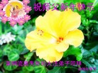 ֹ,½󷨵ӹףʦ֣ʮ22ҳ