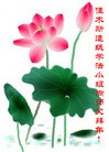 ֹ,½󷨵ӹףʦ֣ʮ16ҳ