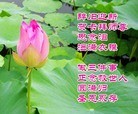 ֹ,½󷨵ӹףʦ֣ţ15ҳ