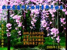 ֹ,½󷨵ӹףʦ֣ʮˣ19ҳ