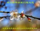 法轮功,河北、河南大法弟子恭祝慈悲的师尊新年好