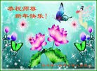 Published on 12/31/2009 ֹ,½󷨵ӹףʦԪ֣117 - ִ - minghui.org