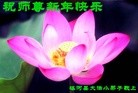 Published on 12/31/2009 ֹ,½󷨵ӹףʦԪ֣117 - ִ - minghui.org