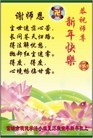 Published on 12/31/2009 ֹ,½󷨵ӹףʦԪ֣117 - ִ - minghui.org