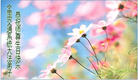 Published on 5/13/2009 ½ҵ󷨵ӹʦ𻪵ߡ塤һ