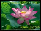 Published on 5/13/2009 ½ӹش󷨺鴫ʮ꣨ʮ200