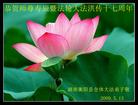 Published on 5/13/2009 ½ӹش󷨺鴫ʮ꣨ʮ200