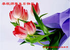 Published on 5/13/2009 ½ӹش󷨺鴫ʮ꣨ʮ200