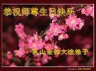Published on 5/13/2009 ½ӹش󷨺鴫ʮ꣨ʮһ300