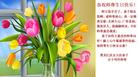 Published on 5/13/2009 ½ӹصʮ編ִգʮ