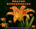 Published on 5/13/2009 ½ӹصʮ編ִգʮţ