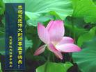 Published on 5/13/2009 ½ӹصʮ編ִգʮţ