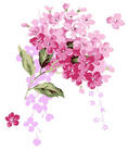 Published on 5/13/2009 ½ӹصʮ編ִգʮһ