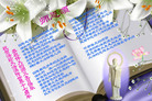 Published on 5/13/2009 ½ӹصʮ編ִգʮһ