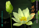 Published on 5/13/2009 ½ӹصʮ編ִգʮһ
