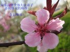 Published on 5/13/2009 ½ӹصʮ編ִգʮһ