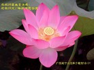 Published on 5/13/2009 ½ӹصʮ編ִգʮһ