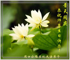 Published on 5/13/2009 ½Ӿʦ𻪵編ִգˣ200أ