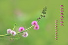 Published on 5/13/2009 ½Ӿʦ𻪵編ִգˣ200أ