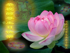 Published on 5/13/2009 ½ӹʦ𻪵編ִգʮ300أ
