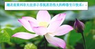 Published on 5/13/2009 ½󷨵ӹʦٳʮ160