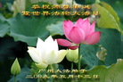 Published on 5/13/2009 ½ӹش󷨺鴫ʮ꣨ʮһ300