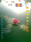 Published on 5/13/2009 ½󷨵ӹʦٳʮ160