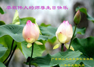 Published on 5/13/2009 ½Ӿصʮ編ִգʮ150أ