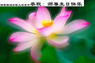 Published on 5/13/2009 ½ӹصʮ編ִգʮģ200أ