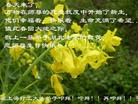 Published on 5/13/2009 ½ӹصʮ編ִգʮģ200أ