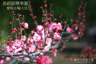Published on 5/13/2009 ½ӹصʮ編ִգʮģ200أ