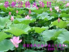 Published on 5/13/2009 ½ҵ󷨵ӹʦ𻪵ߡ塤һ