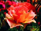 Published on 5/13/2009 ½ӹʦ𻪵ߵʮ編ִգʮ壩
