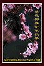 Published on 1/1/2011 ֹ,йиҵִ󷨵ӹʦ - ִ
