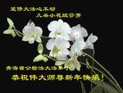 Published on 1/1/2011 ֹ,ӡŴ󷨵Ӽѽʦ - ִ
