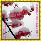 Published on 1/1/2011 ֹ,йиҵִ󷨵ӹʦ - ִ
