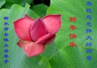 ֹ,ִ󷨵ӹʦ - ִ
