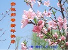 Published on 1/1/2011 ֹ,½󷨵ӹףʦԪ֣ţ - ִ
