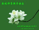 Published on 1/1/2011 ֹ,½󷨵ӹףʦԪ֣ţ - ִ
